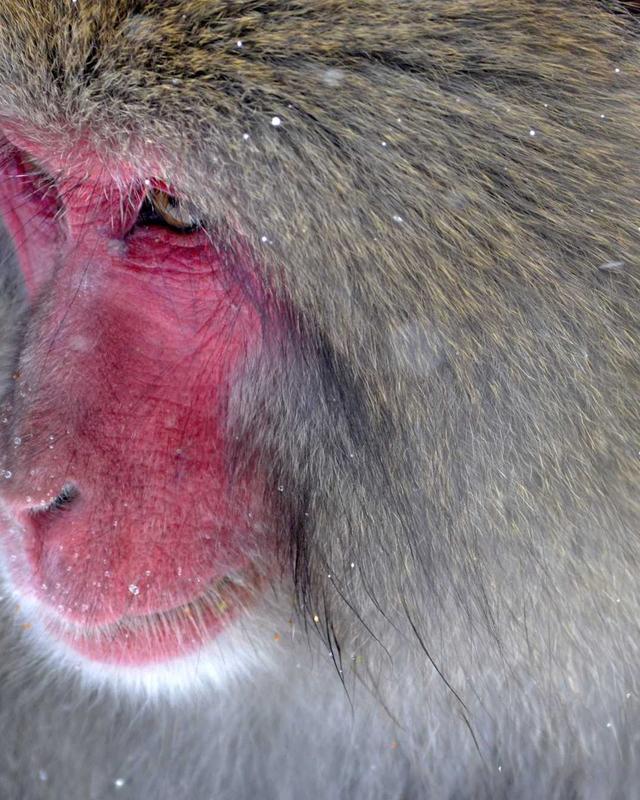 《黄昏甜品屋》封面